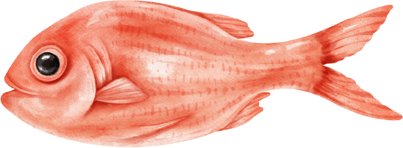 Illustration of a red fish with large eye and textured scales, facing left.