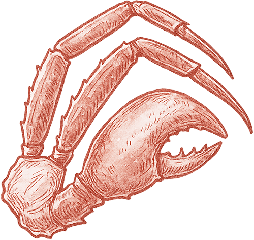 Illustration of a red crab leg with a large claw and three segmented pointed arms.